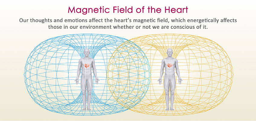 Each Individual Impacts the Field Environment