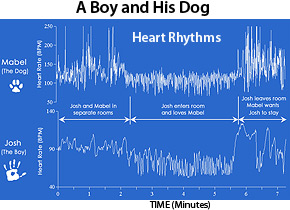 Pets Making a Connection That’s Healthy for Humans Boy and Dog graph