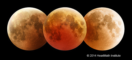 Lunar Phases and their Effects on Life on Earth and Earth Processes - lunar-eclipse