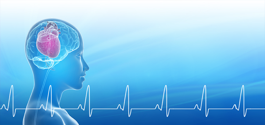 HMI Blog Heart Brain Interactions