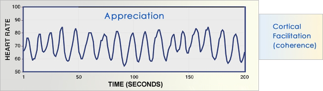 HMI Appreciation with Cortical Facilitation (coherence)