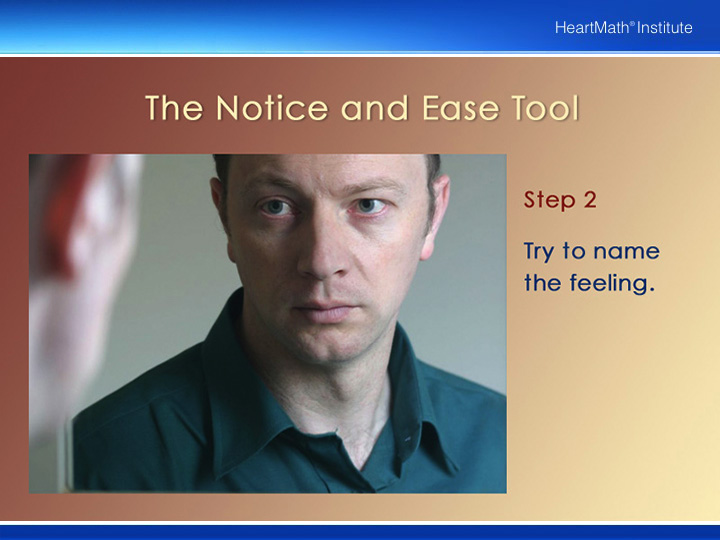 HMI Notice and Ease Tool PP Slide 4