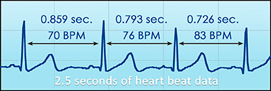 The Heart-Brain Connection graph heart beat data