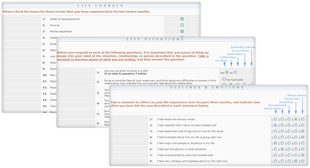 Stress & Well-Being Survey Application