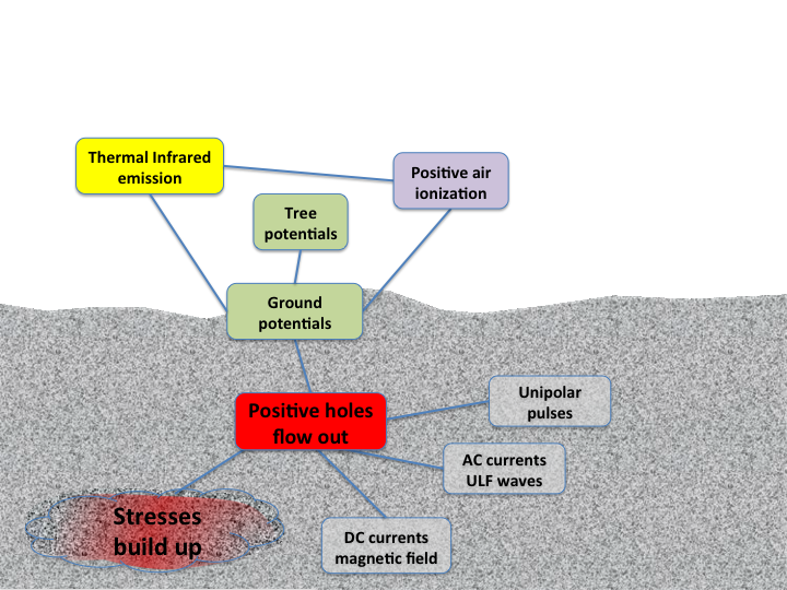 tree-research-postive-hole outflow-Friedemann