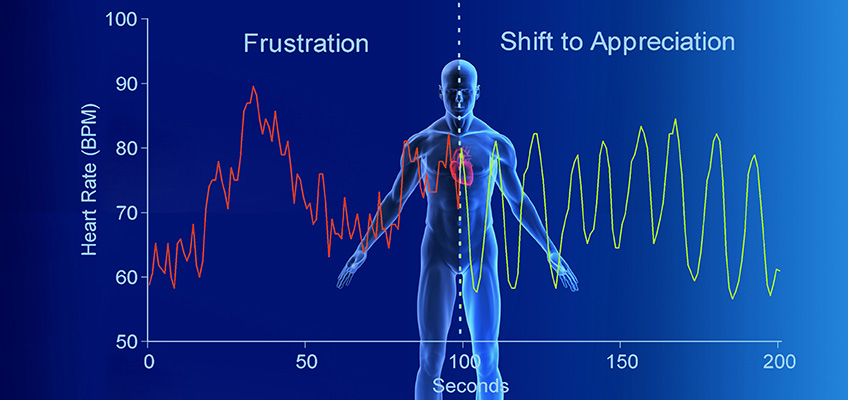 Image result for heart rate variability