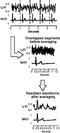 The Electricity of Touch research paper figure 2 signal averaging