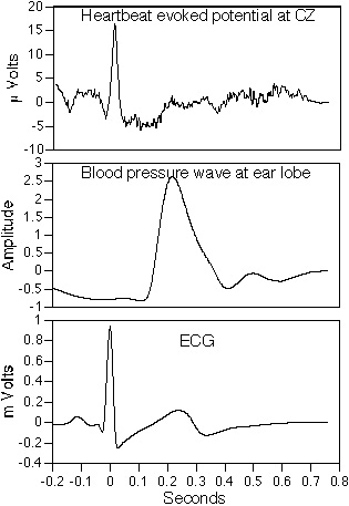 The Electricity of Touch research paper figure 3 heartbeat evoked