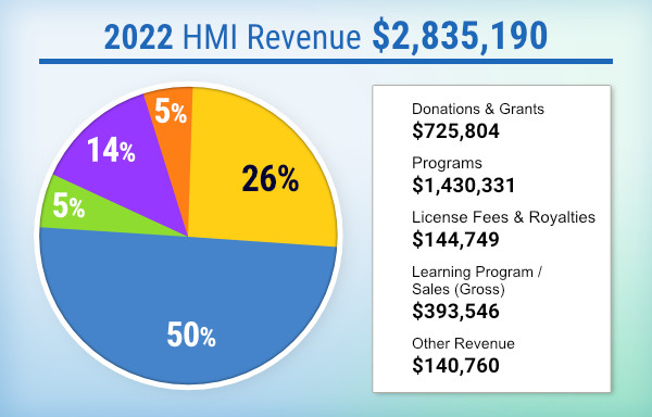 HMI Revenue