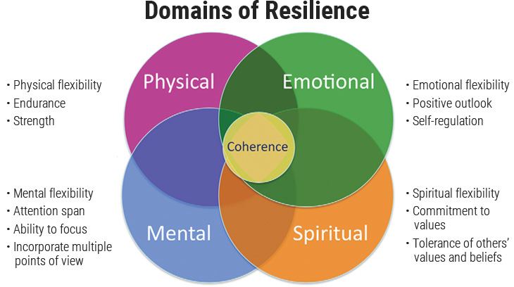 Bereiche der Resilienz