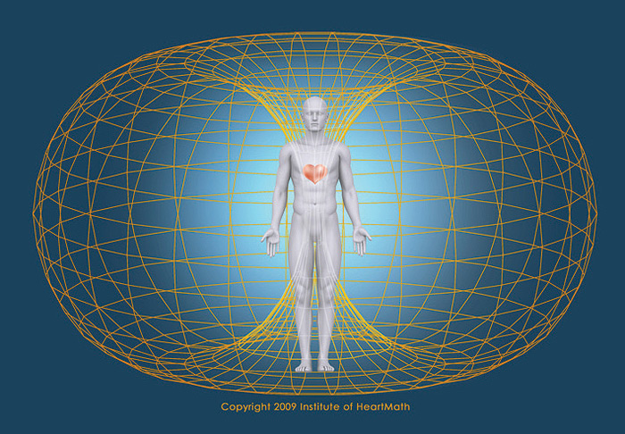 The Heart's Magnetic Field