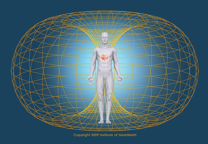 The Heart's Magnetic Field