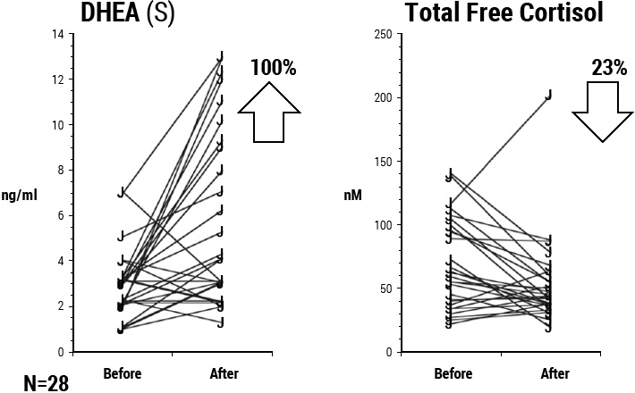 DHEA and cortisol values