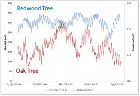 Tree Research Project graph large