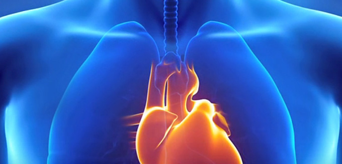 mind and heart coherence mind and heart coherence
