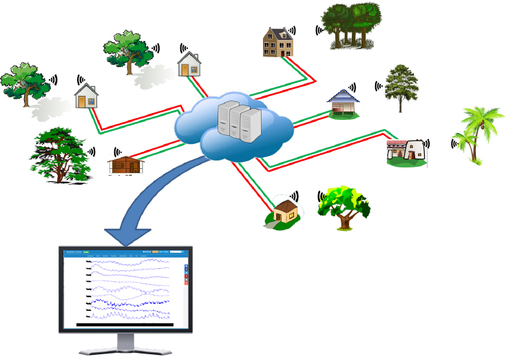 Global Tree Potential Network Map Global Tree Potential Network Map