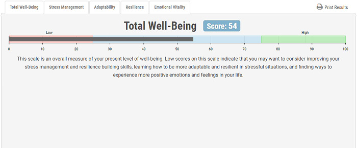 Personal Well-Being Survey