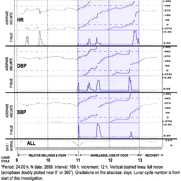 24-hour Synchronization of Circadian Vascular System