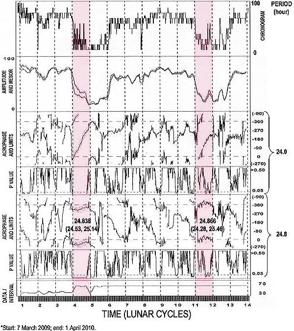 Replicated Lunar Synchronization