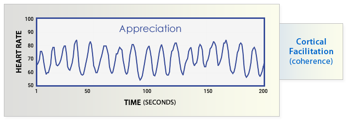 Cortical Facilitation (coherence)