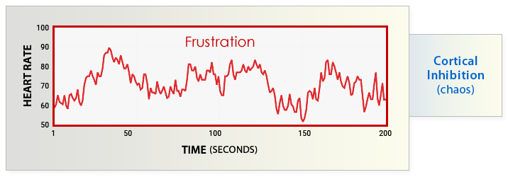 Cortical Inhibition (chaos)