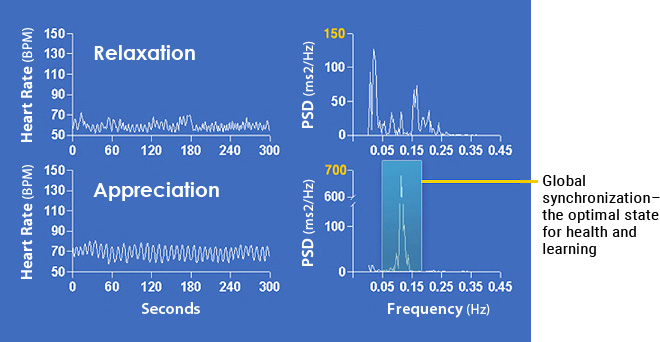 Heart rhythm patterns during different emotional states