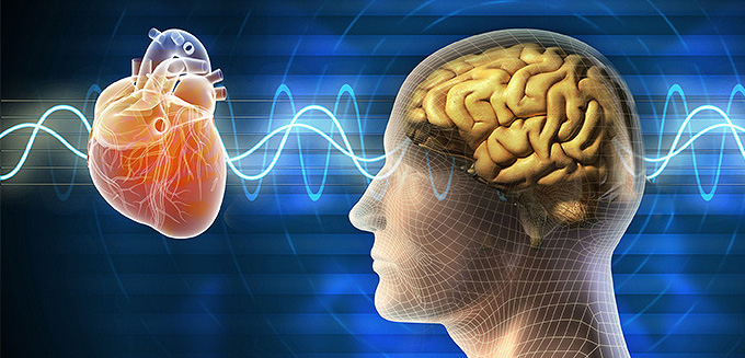 Scientific Foundation of the HeartMath System