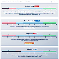 Personal Well-Being Survey