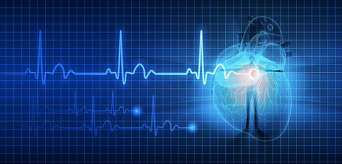 Heart Rate Variability Basics