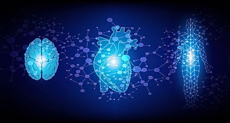 Leverage Cutting-Edge Heart-Brain Science
