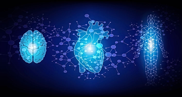 Leverage Cutting-Edge Heart-Brain Science Leverage Cutting-Edge Heart-Brain Science