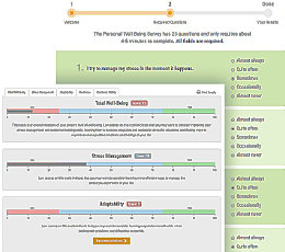 Personal Well-Being Survey