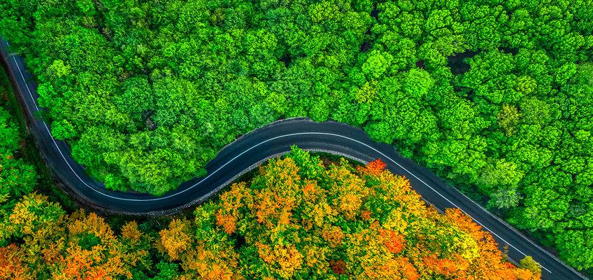 Out with the Old / In with the New