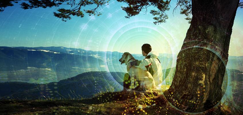 A Field View of Reality to Explain Human Interconnectedness