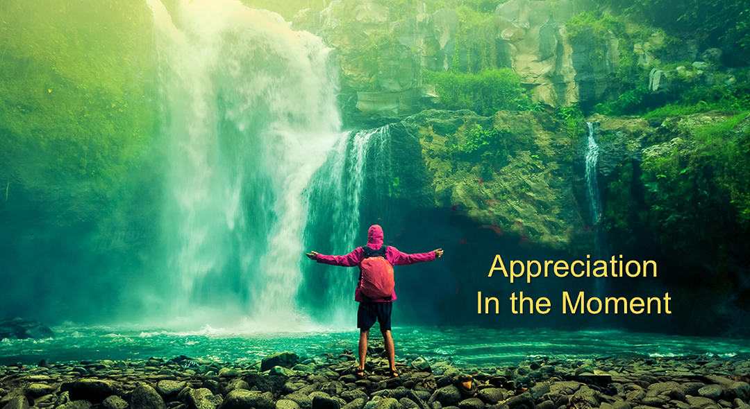 HeartMath® Appreciation Tool™ and Exercises