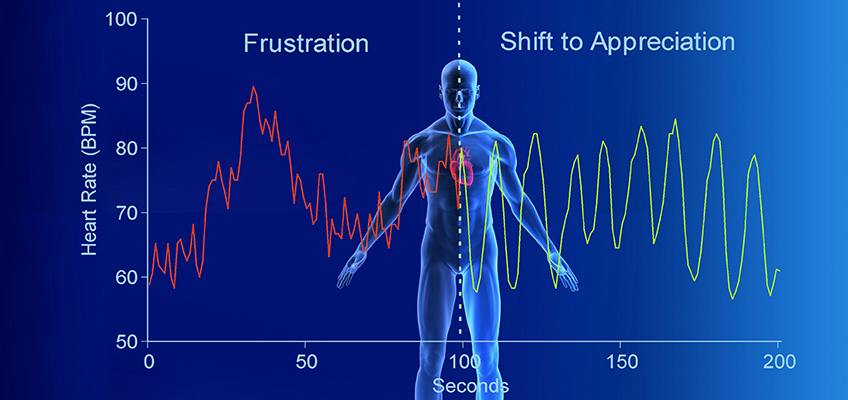 Article Explains Importance of Heart Rate Variability for Your Health - HeartMath Institute
