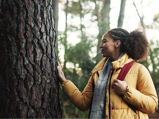 HMI Tree Rhythm Research