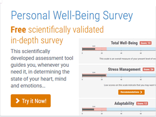 Personal Well Being Survey