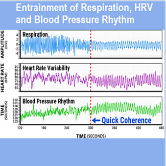 Heart Coherence: A State of Optimal Function