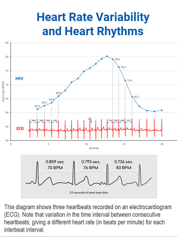 Heart Rate Variability
