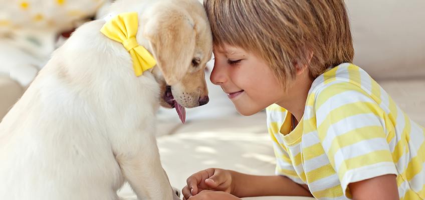 The Appreciation in Awe