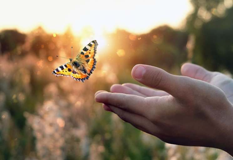 Heartmath Trauma Stress Recommondations