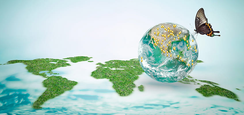 Inner Peace Through Inner Ease - HeartMath Institute